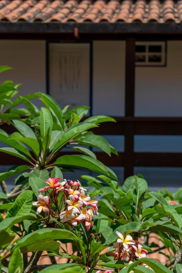 Villa Alexandre Pousada - Trancoso Buitenkant foto